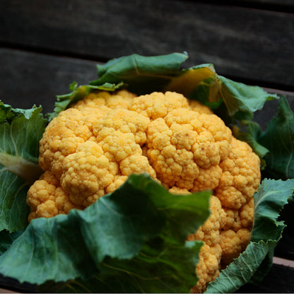 Plantón Coliflor Naranja - PlantaBo_1