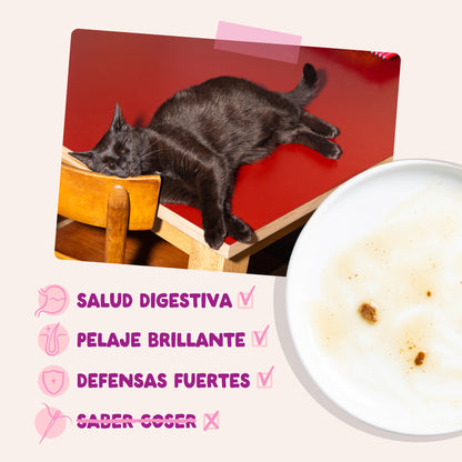 Sobres para gatitos Pato & Pollo en Salsa | Edgard & Cooper 85 g