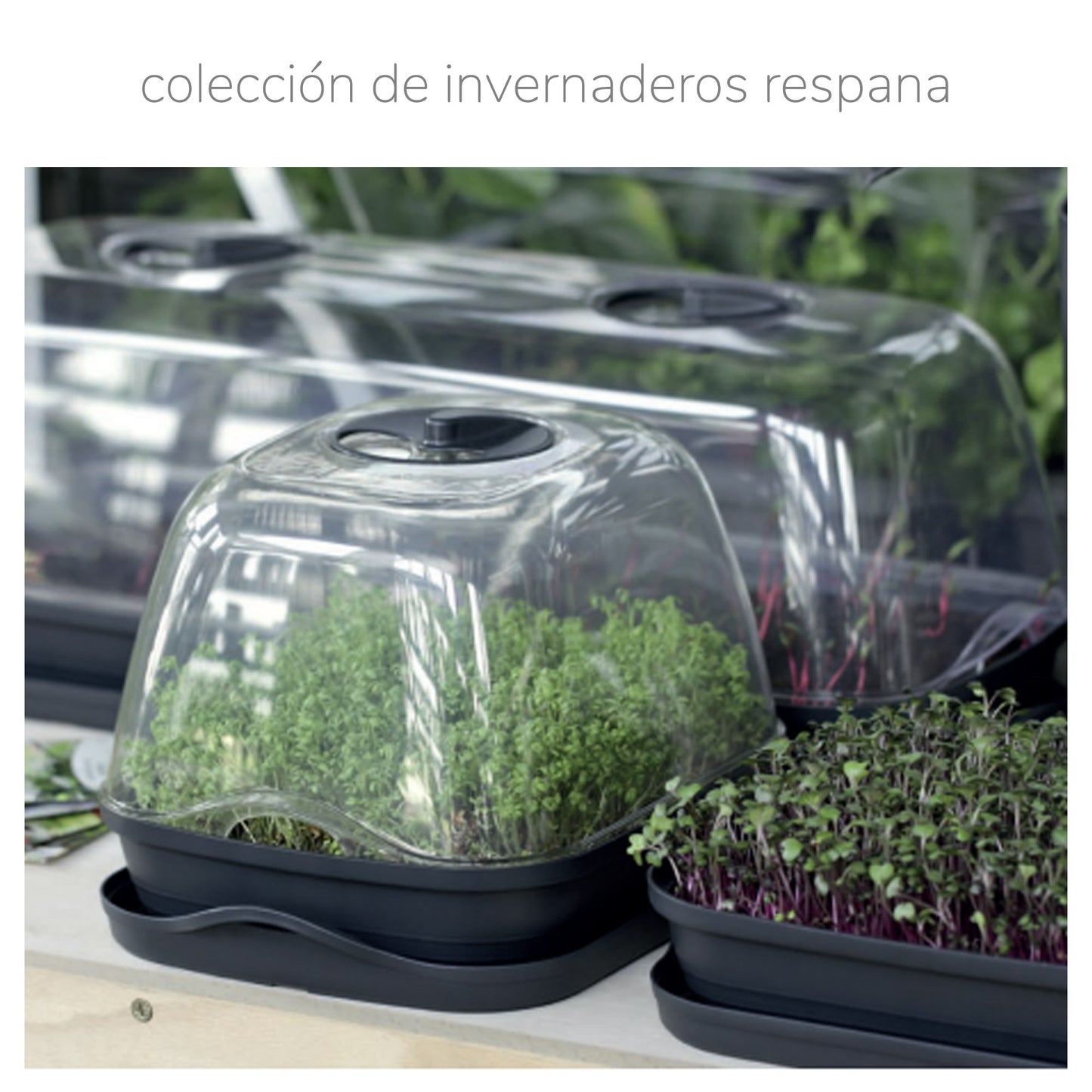 Semillero/bandeja Multiusos Con Tapa De Policarbonato Respana Table Greenhouse, Dimensiones (mm) 257x196x185, Color Gris Piedra_1