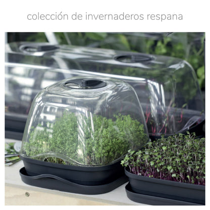 Semillero/bandeja Multiusos Con Tapa De Policarbonato Respana Table Greenhouse, Dimensiones (mm) 515x196x185, Color Antracita_1