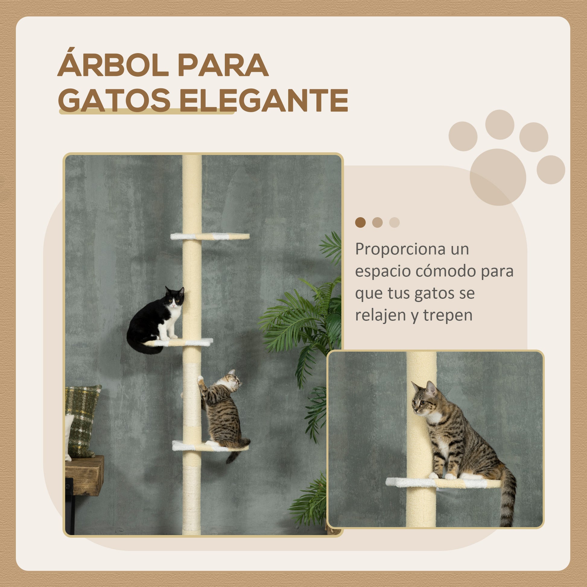 Pawhut Árbol Para Gatos Del Suelo Al Techo 220-260 Cm Con 3 Plataformas Y Bola_3