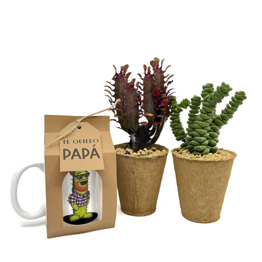 Pack Regalo Día Del Padre Taza Padresucu + Plantas_0