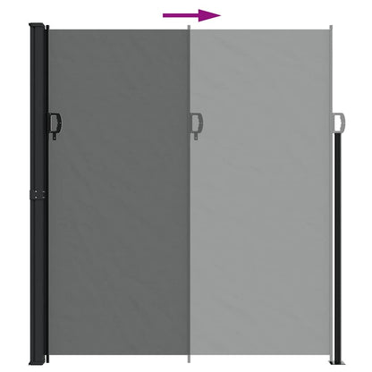 Vidaxl Toldo Lateral Retráctil Gris Antracita 220x500 Cm_4