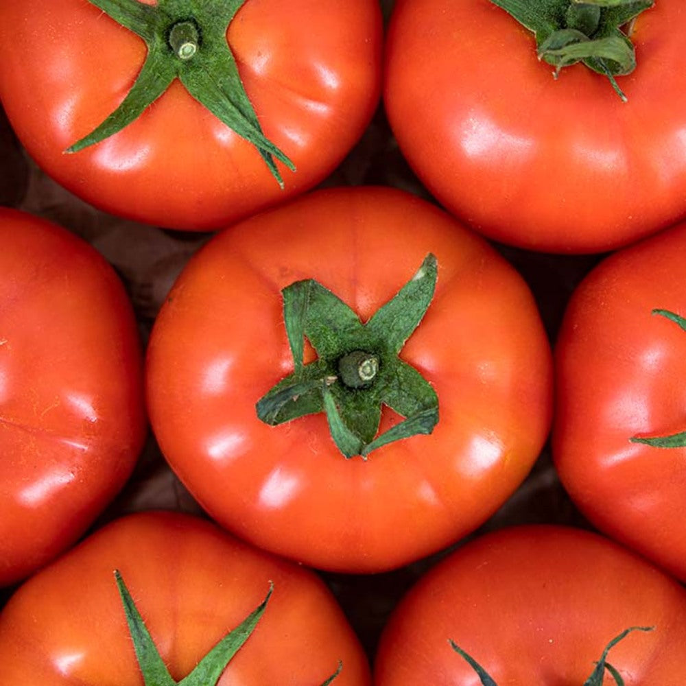 Tomate Beef 4kg Granada La Palma_5