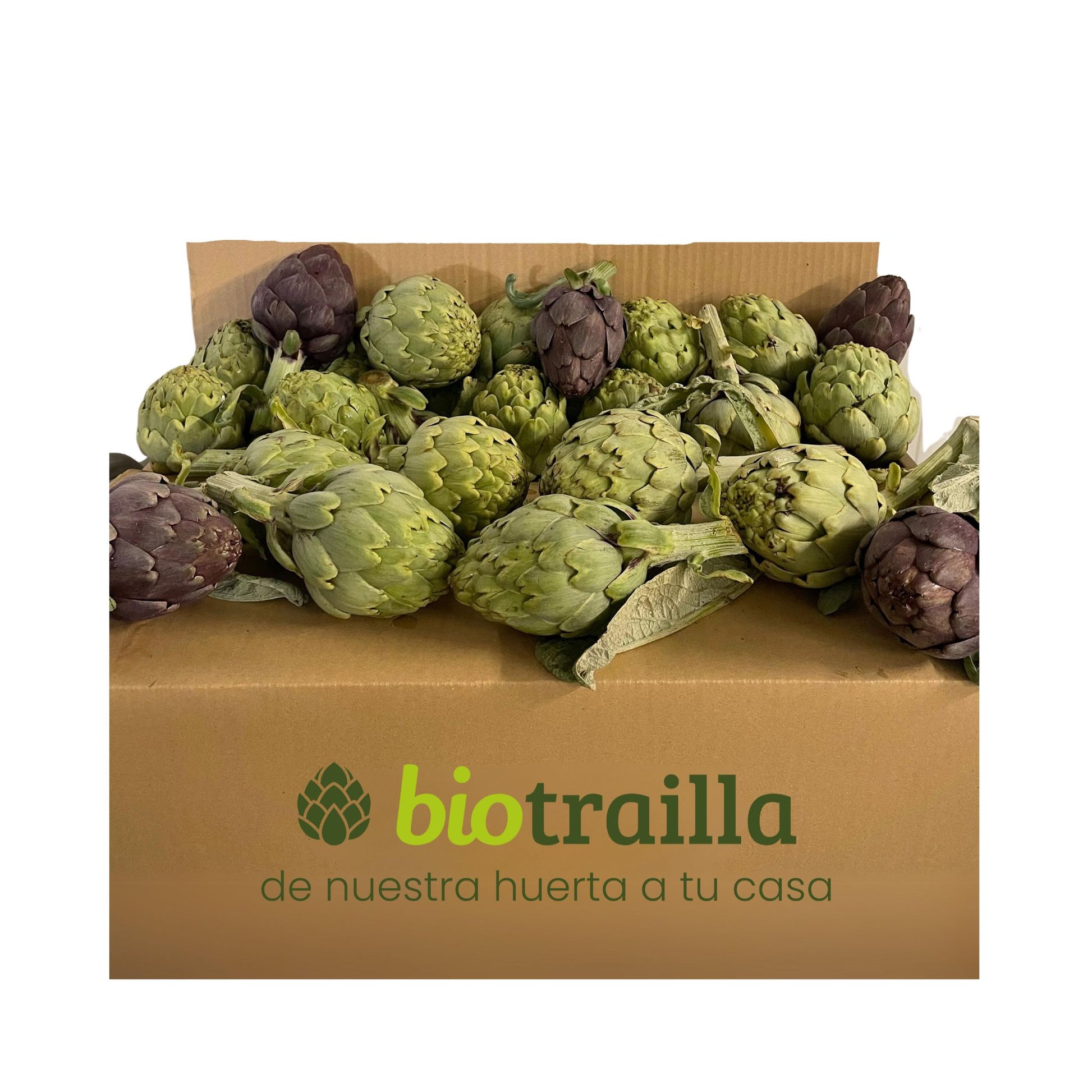Caja De Alcachofas De Tudela Bio_0