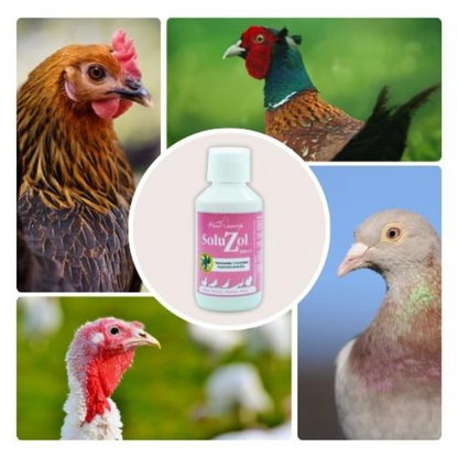 SoluZol 250ml – Complemento nutricional natural para aves – Apoyo digestivo y bienestar intestinal– 100% vegetal_1