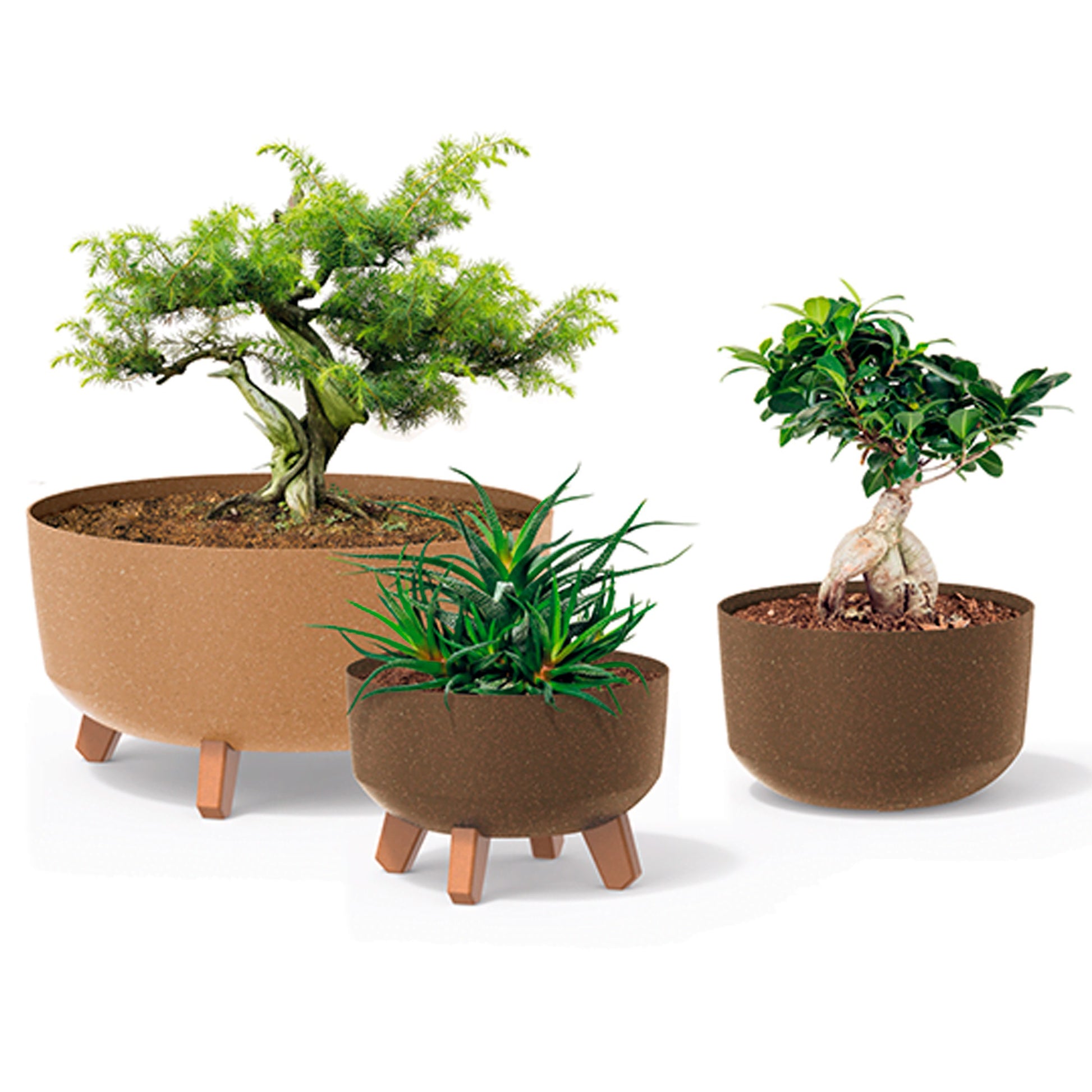 Macetero Color Café,sin Depósito , Colección Gracia De 23,5 X 23,5 X 18,7 Cm, Capacidad De 5,1 L._4