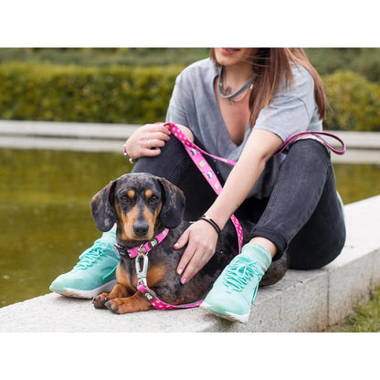 Collar para perro DOGTELLA Dukier M