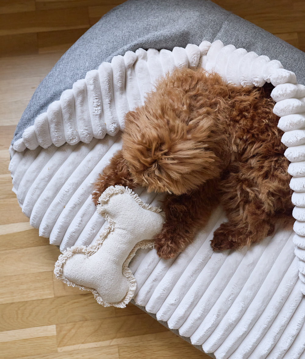 Cafide Cama Con Capucha Para Perro Con Tejido Chenilla Gris. Modelo Maso. Talla S (50x60x10 Cm)_1