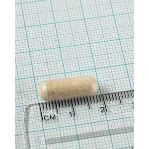 Pack 2x Digestizyme Enzimas Digestivas, Lamberts, 100 cápsulas