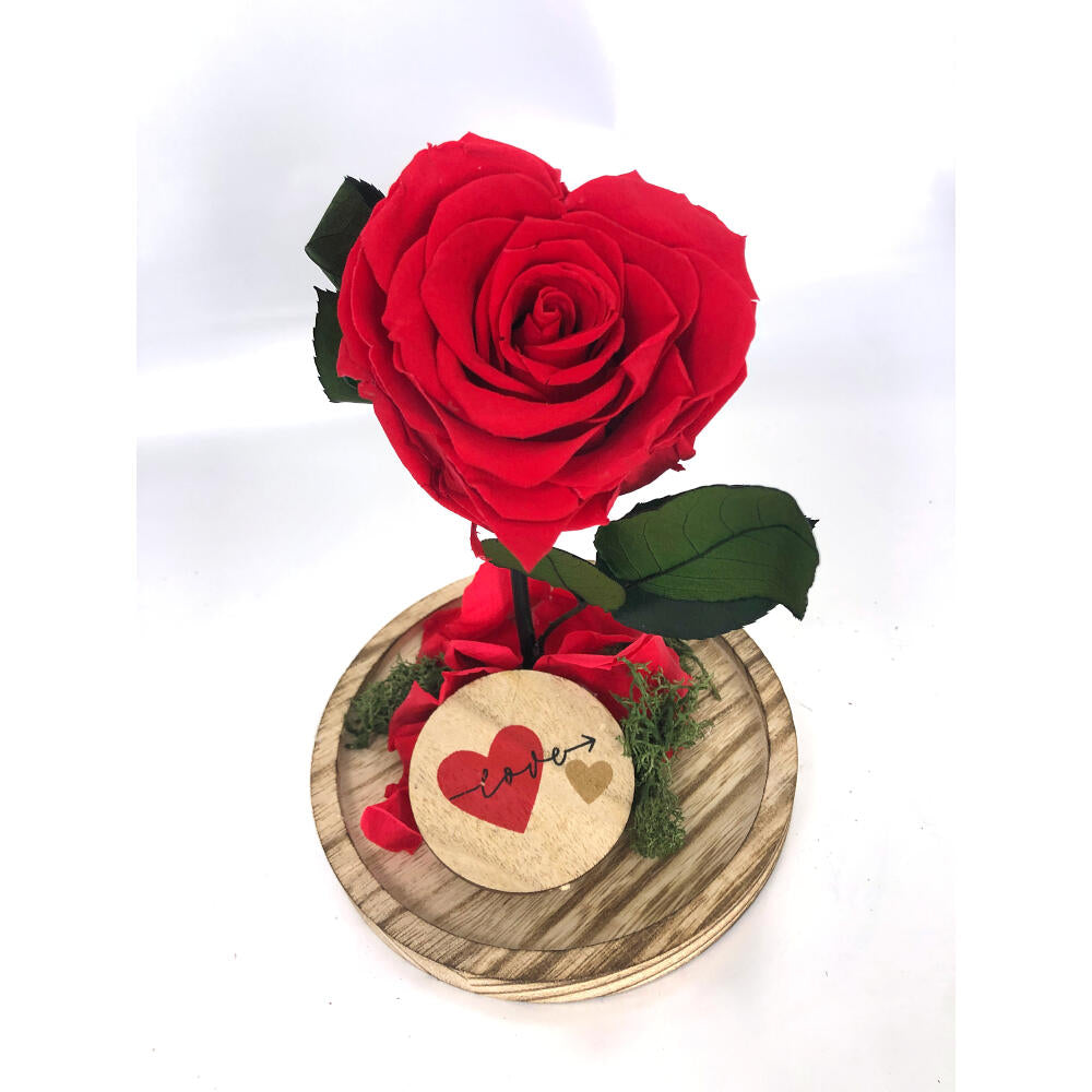 Mundo Eterno Rosa En Cúpula Corazón Rojo 12x20cm_1