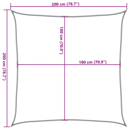 Vidaxl Toldo De Vela Hdpe Verde Claro 160 G/m² 2x2 M_2