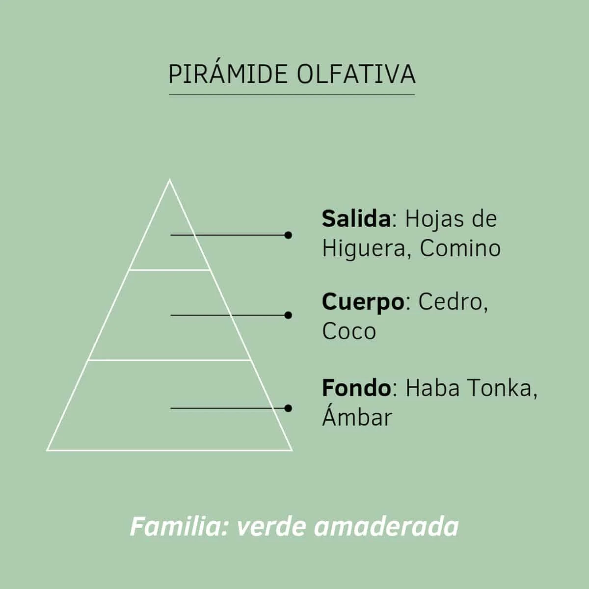 Esencia Hidrosoluble Hojas de Higuera SYS Aromas 50 ml | Aroma Frutal y Herbal | Para Humidificadores y Difusores_1