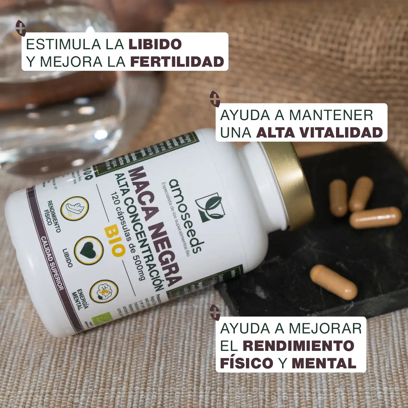 Maca Negra Bio, Alta Concentración | 120 Cápsulas_2