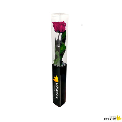 Mundo Eterno Rosa Preservada Fucsia 55cm
