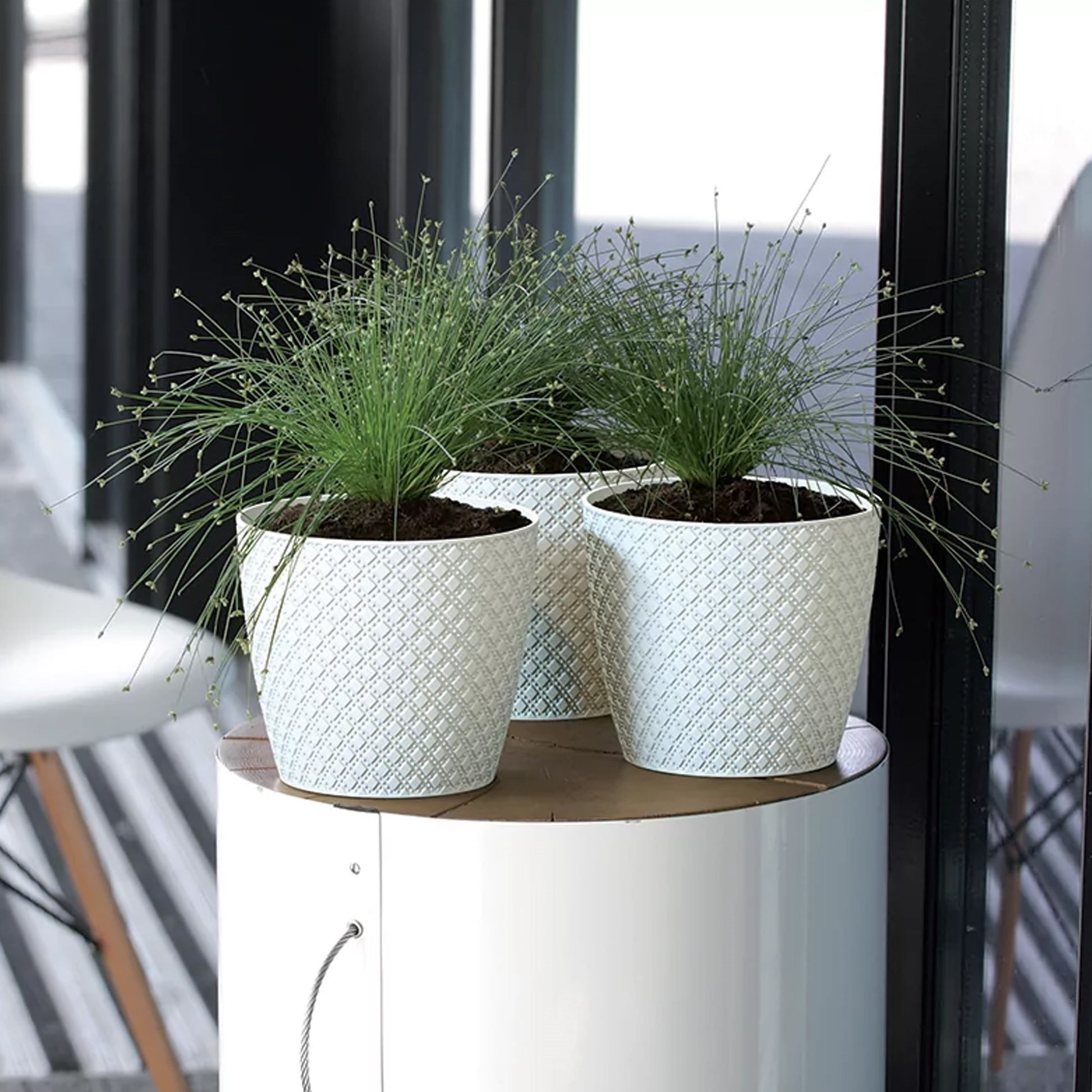 Maceta Orient 3,5l., Dimensiones (mm) 189x189x167, Color Blanco