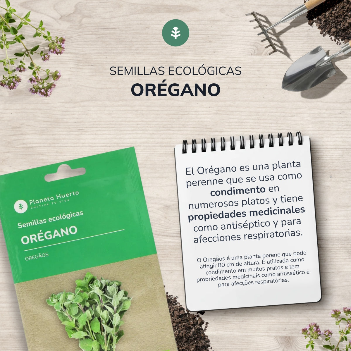 Semillas de Orégano ecológicas Planeta Huerto