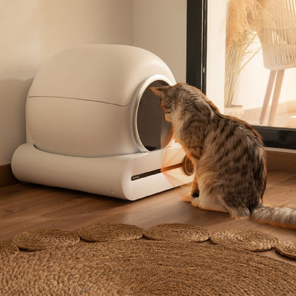 Arenero Gatos Autolimpiable Pumba 8500 Cleankitty Smart Control Por Wifi Y Pantalla Seguro Con Sensor De Infrarrojos 65l_1