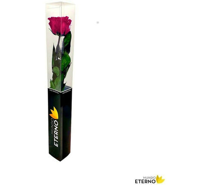 Mundo Eterno Rosa Preservada Fucsia 25cm