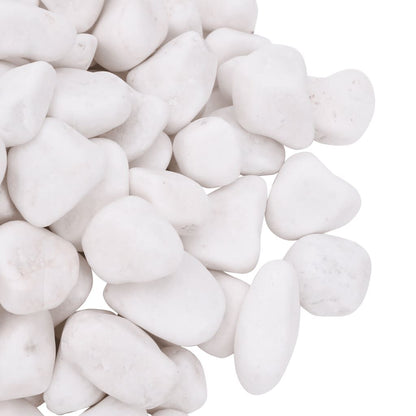 Vidaxl Guijarros Pulidos Blancos 25 Kg 2-5 Cm_3