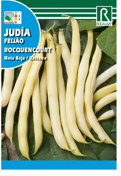 Semillas Judía Roquencourt 50g_0