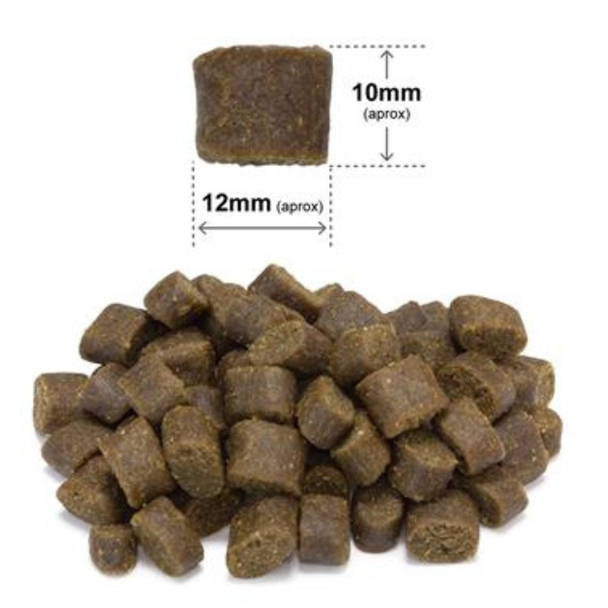 Fresh Ocean Fish Arquivet Pienso semihúmedo completo para perros 100 g