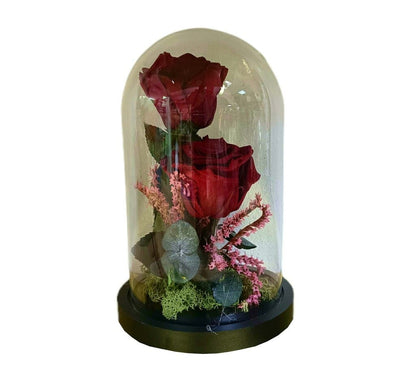 Cúpula 2 Rosas Burdeos 12x20cm