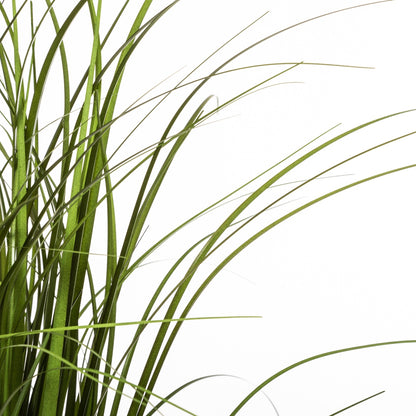 Manojo De Hierba En Maceta De Plástico H50_1