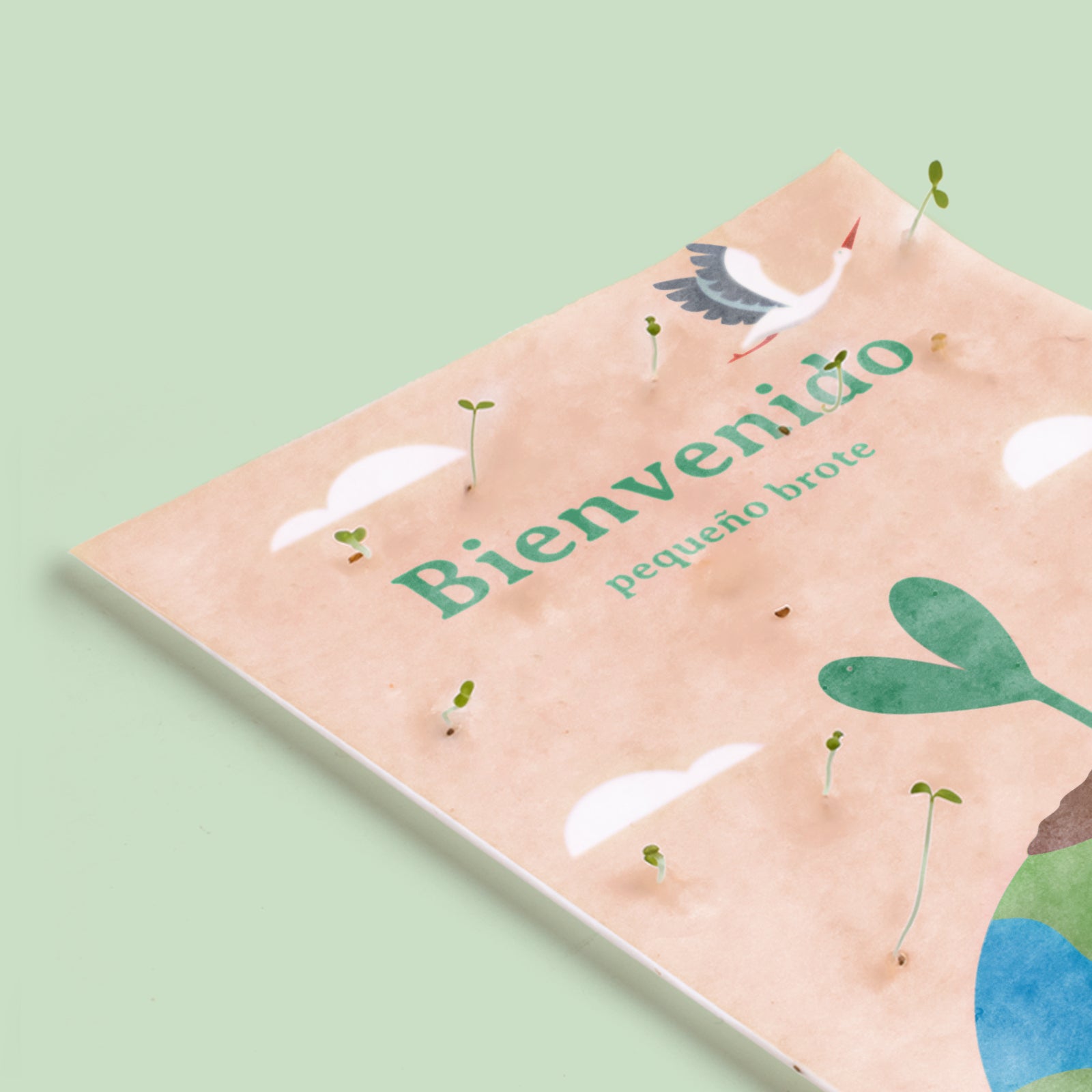 Postal Plantable Bienvenido Con Semillas De Zanahoria – Regalo Original Que Florece Para Recién Nacidos | Resetea_2