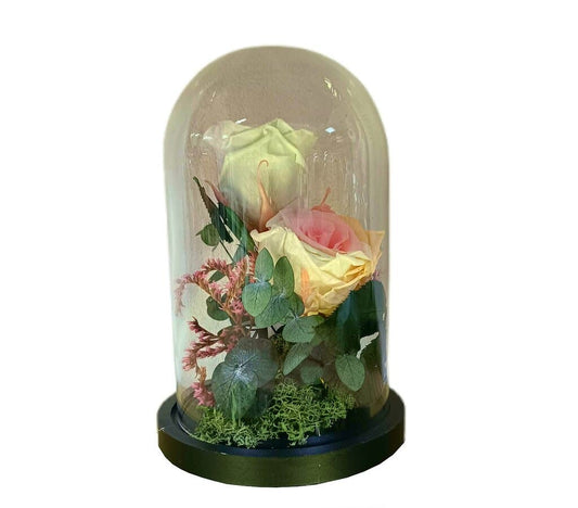 Cúpula 2 Rosas Multicolor Pastel 12x20cm_0