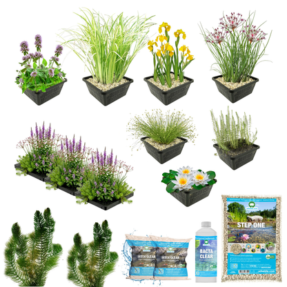 Pack Estanque Nativo 1.500-3.000l - Oxigenantes &amp; Ribera - Nymphaea Alba_2