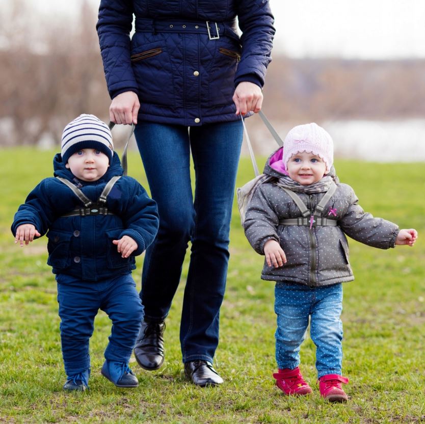 Arnés Andador Primeros Pasos First Steps