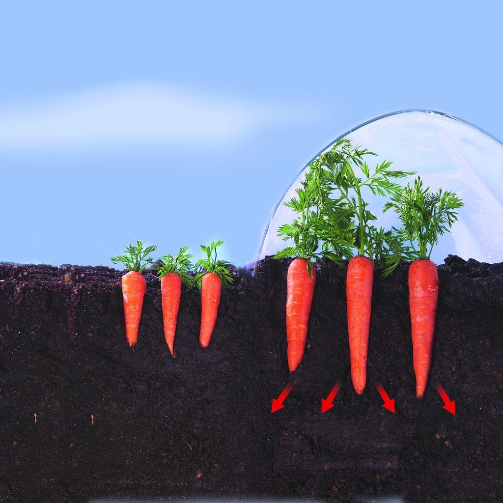 Film de cultivo verduras tempranas Climafilm Nortene 2 x 10 m