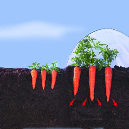 Film de cultivo verduras tempranas Climafilm Nortene 2 x 10 m