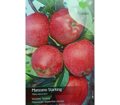 Arbol Frutal De Manzano Starking M22 130cm (manzana Roja)