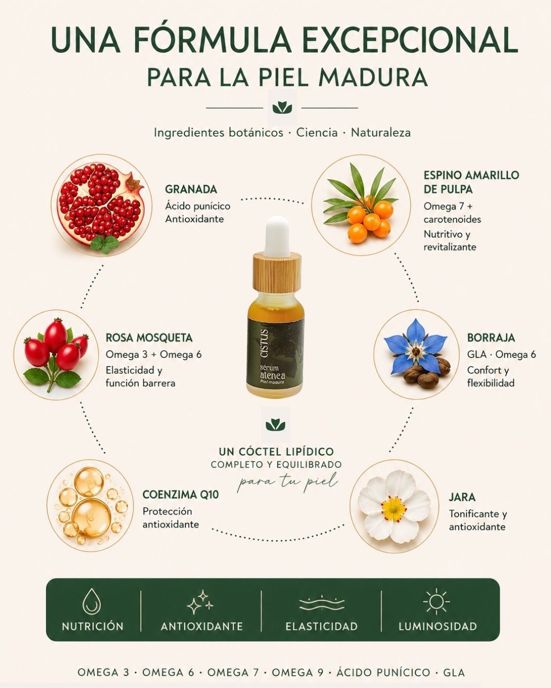 Sérum facial nutritivo, antiox y antiedad piel madura | Q10, Granada y Espino Amarillo | ATENEA 15 ml_2
