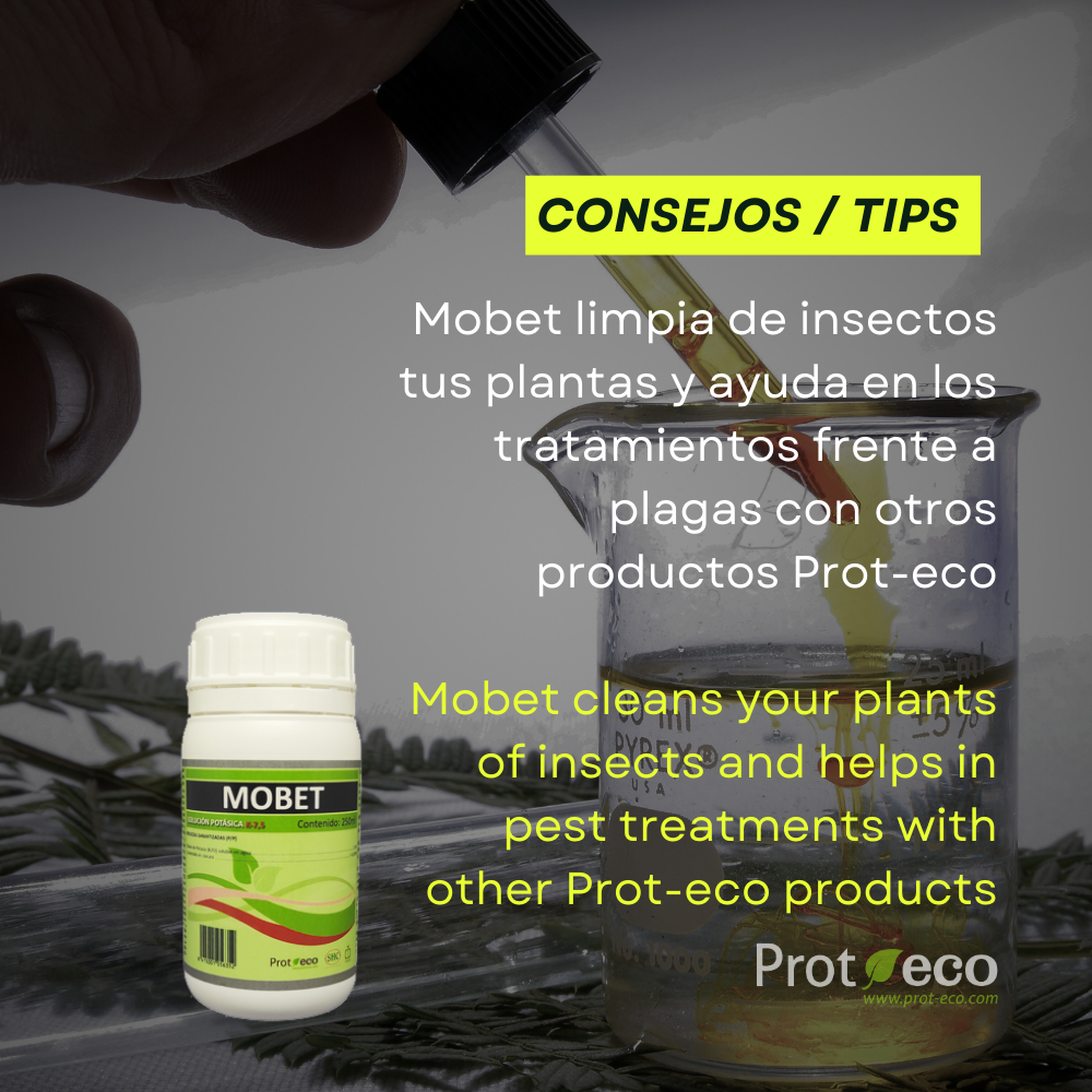 Jabón potásico ecológico para pulgón y cochinilla en plantas Mobet Prot-eco 250 ml + pipeta dosificadora 5 ml gratis_3