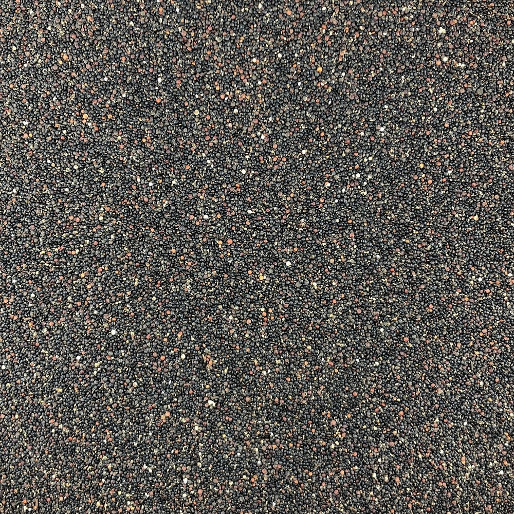 Quinoa Negra Orgánica A Granel 0,5 Kg_2