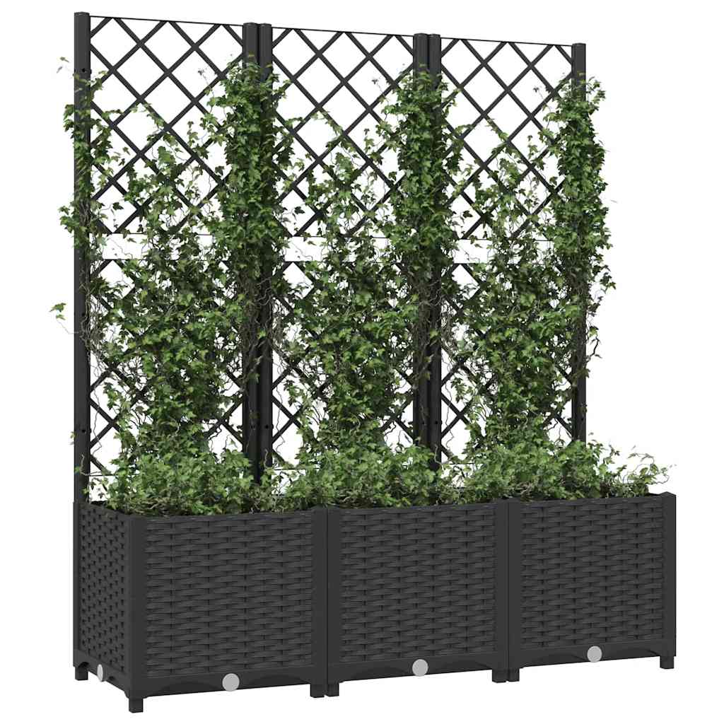 Jardinera De Jardín Con Enrejado, Color Negro, 120 X 40 X 136 Cm, Pp_2