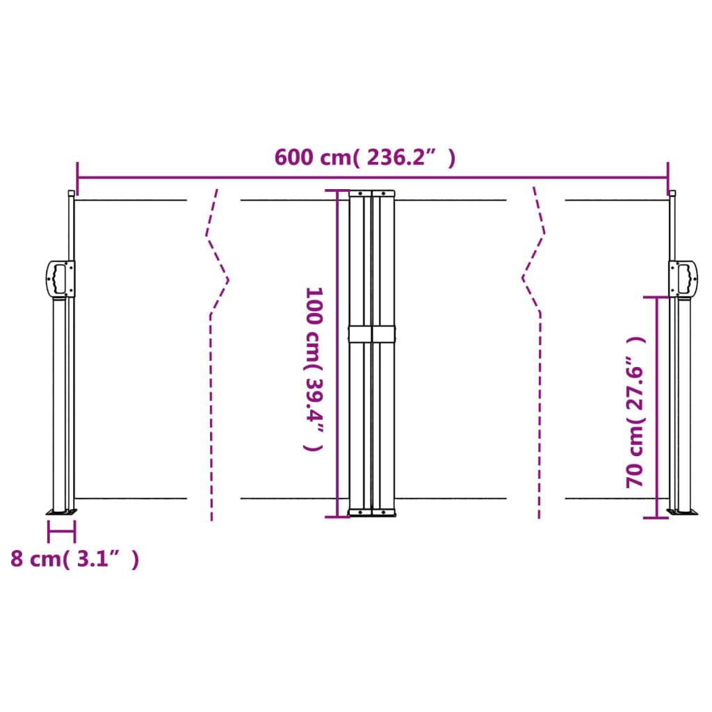 Vidaxl Toldo Lateral Retráctil Blanco 100x600 Cm_2
