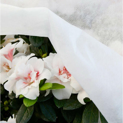 Tela protección de cultivos antiheladas Biotop 2 x 10 m 17 g/m²