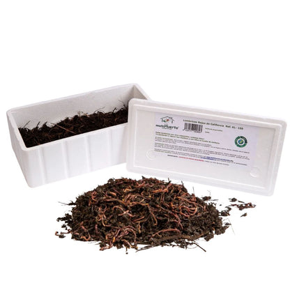 Vermicompostador Frutero sencillo con lombrices Multihuerto