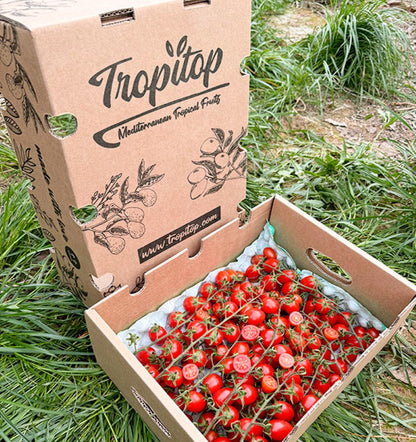 Caja De Tomates Cherry En Rama Tropitop Caja De 4kg_2
