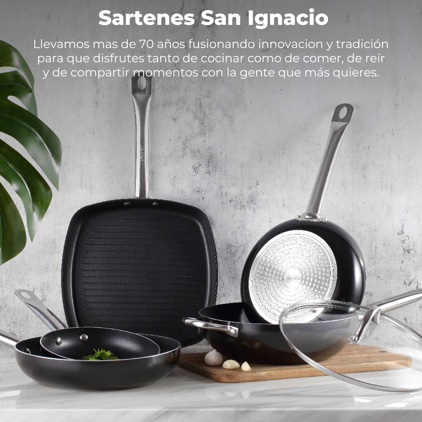 Sartén san Ignacio Serie Professional Chef 20x4.5cm En Aluminio Prensado._4