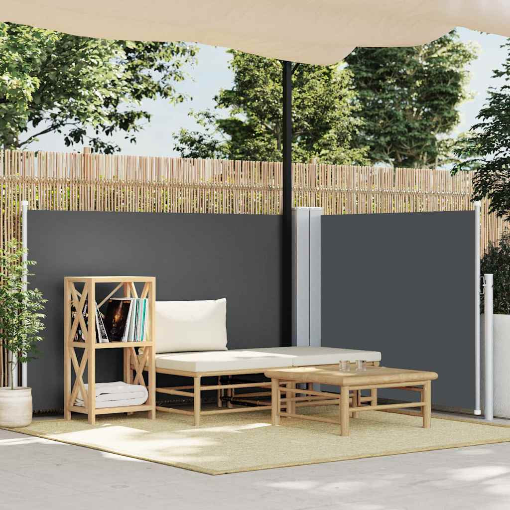 Vidaxl Toldo Lateral Retráctil Gris Antracita 120x600 Cm_1