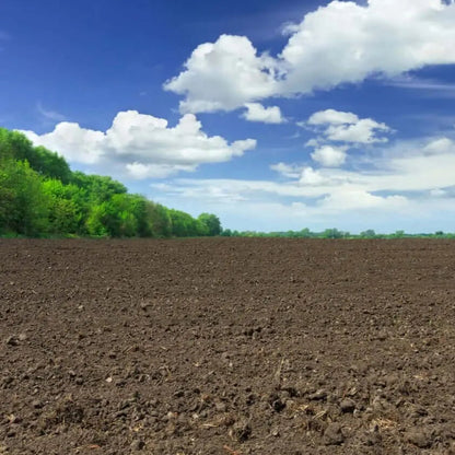 Tierra Abonada Económica / Saco 15 L. / Ecoplus_2