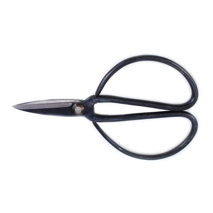 Pack Iniciación Bonsai Ficus Retusa 5 Años Incluye Tijeras Y Abono