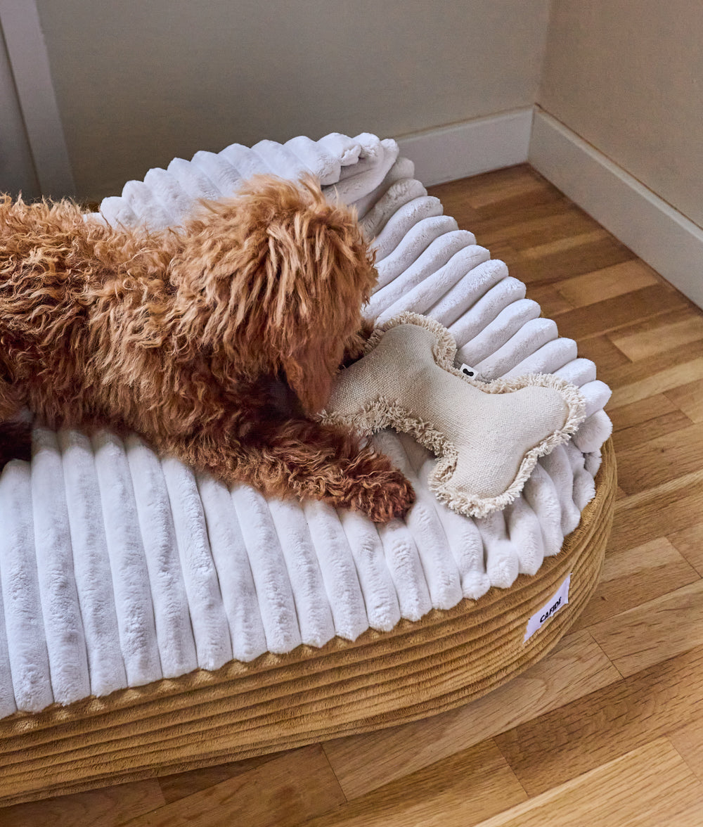 Cafide Cama Con Capucha Para Perro Con Tejido De Pana Naranja. Modelo Maso. Talla M (60x80x10 Cm)_3
