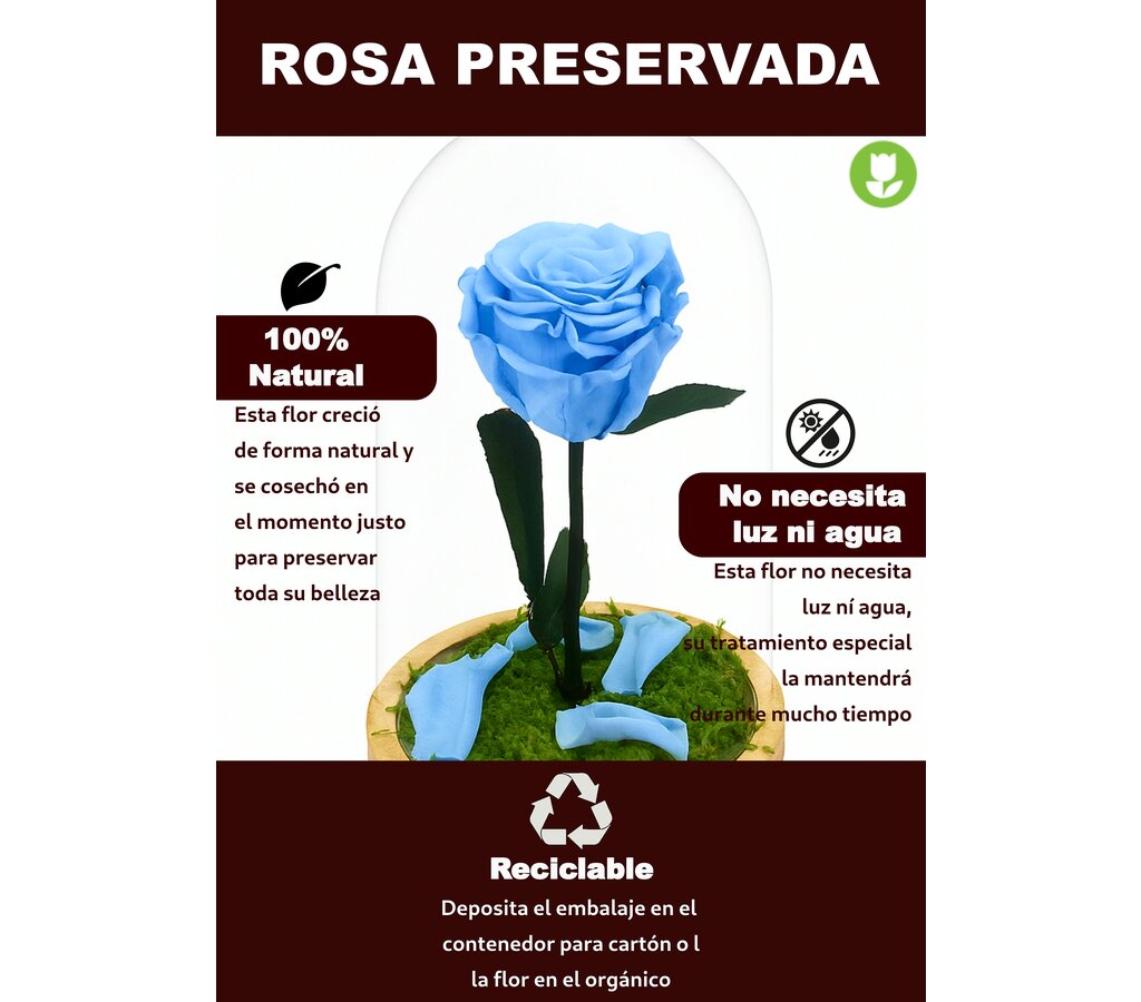 Mundo Eterno Rosa En Cúpula Azul Claro 12x20cm