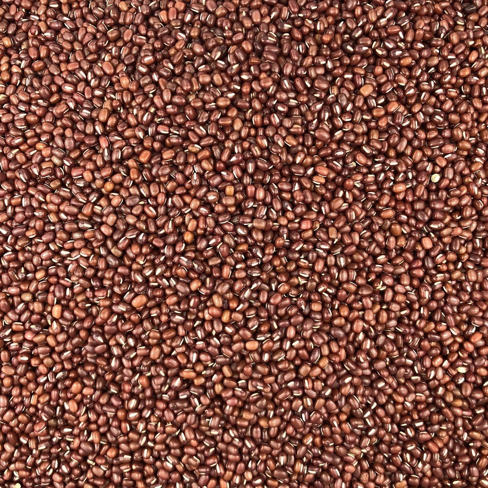 Judía Azuki Ecológica Granel 10 Kg_2